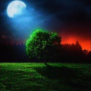 Meet your Posher, Felix